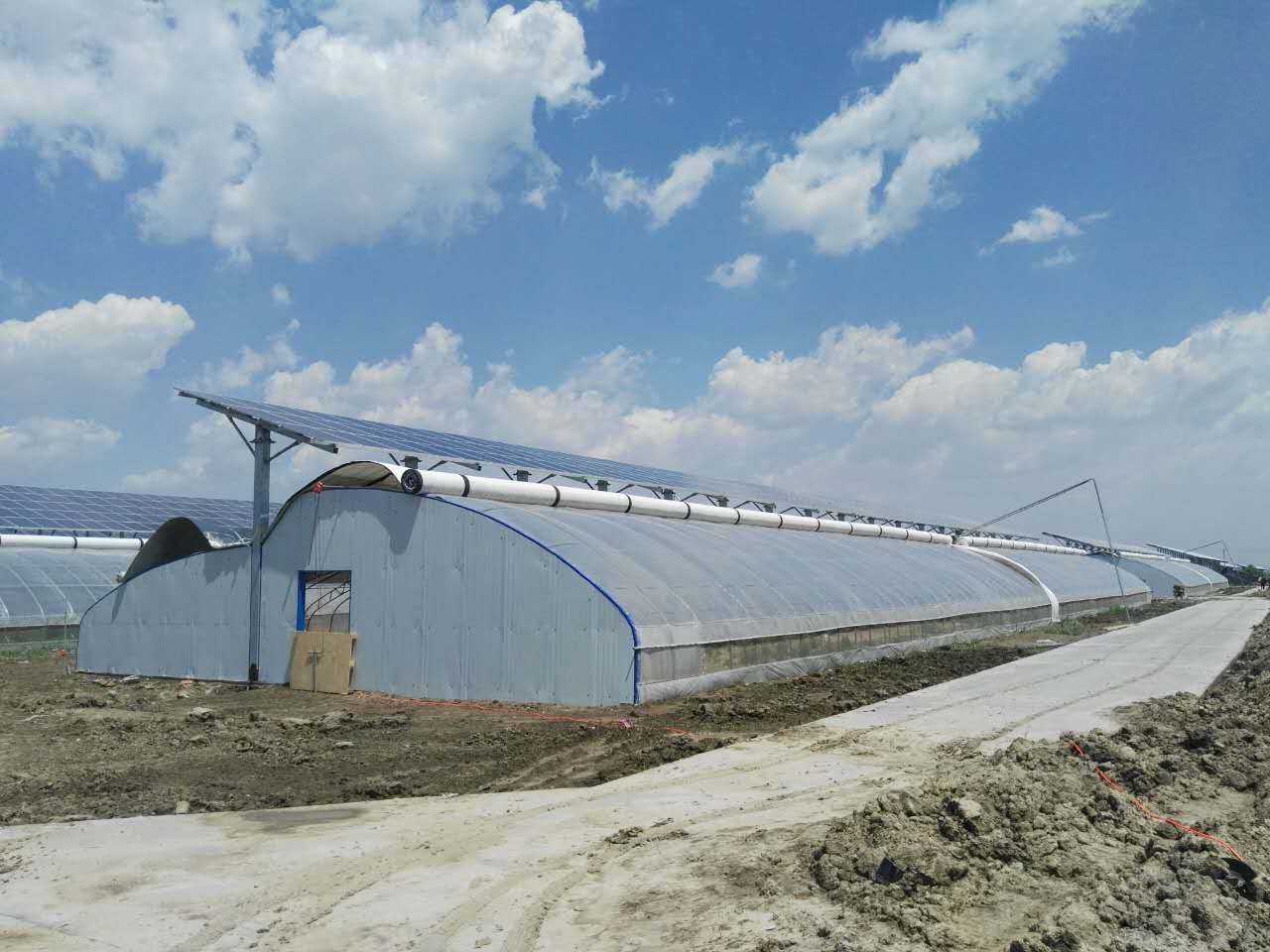 光伏温室大棚——养花 - 智能温室大棚,连栋温室大棚,玻璃温室,智能生