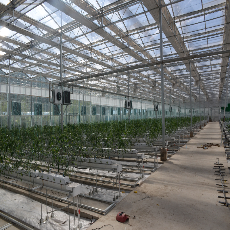 温室建设玻璃,pc,薄膜报价 - 智能温室大棚,连栋温室大棚,玻璃温室