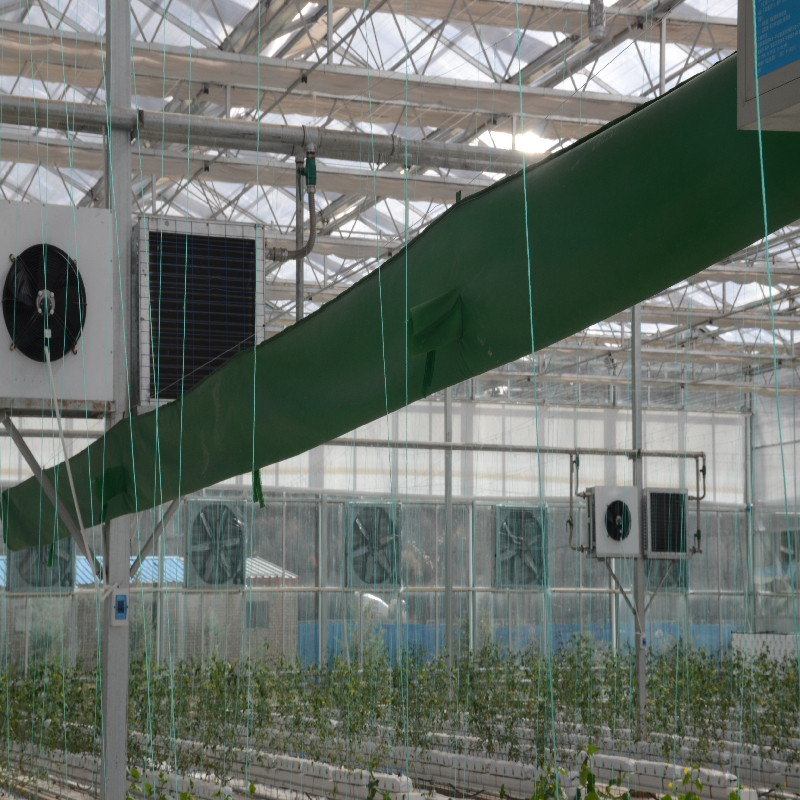 连栋温室大棚造价低运营好 - 智能温室大棚,连栋温室大棚,玻璃温室