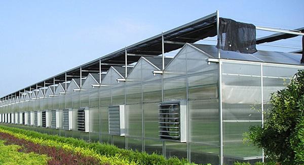 国外智能生态餐厅温室大棚防虫