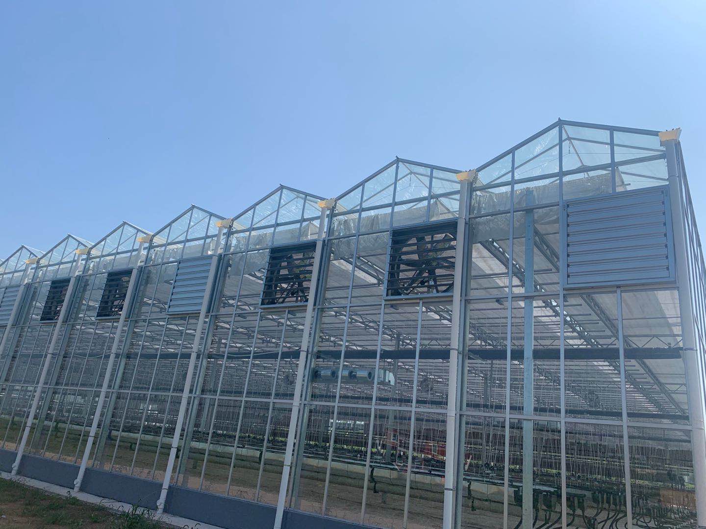 山东玻璃温室的保养问题 - 智能温室大棚,连栋温室大棚,玻璃温室,智能
