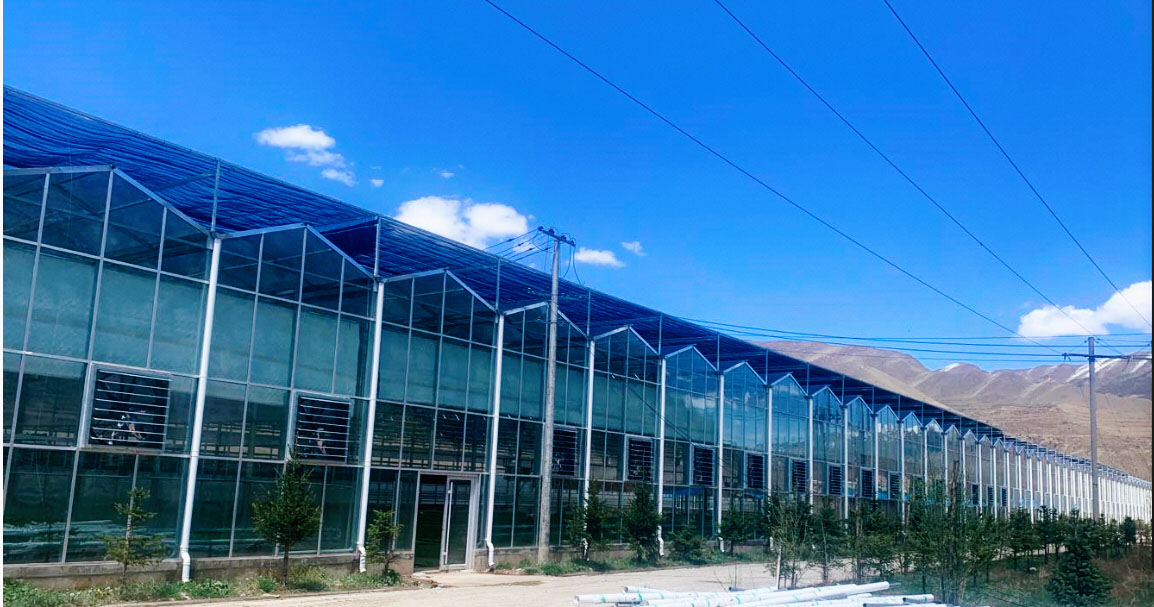 玻璃温室建设首选山东盛裕泰龙温室 - 智能温室大棚,连栋温室大棚,玻